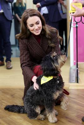 Kate Middleton at The Royal Marsden Hospital in London-stock-photo