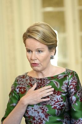King Philippe And Queen Mathilde Meet Nato And Shape Officlals-stock-photo