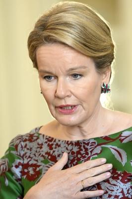 King Philippe And Queen Mathilde Meet Nato And Shape Officlals-stock-photo