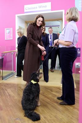 Kate Middleton at The Royal Marsden Hospital in London-stock-photo