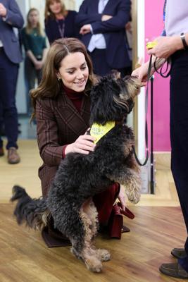 Kate Middleton at The Royal Marsden Hospital in London-stock-photo