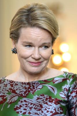 King Philippe And Queen Mathilde Meet Nato And Shape Officlals-stock-photo