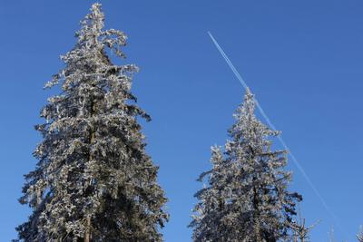 Themenfoto: Winter, Schnee, Winterimpression, Schneefoto, Eifel, Kaltenborn, Deutschland, 14.01.2025-stock-photo