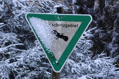 Themenfoto: Winter, Schnee, Winterimpression, Schneefoto, Eifel, Kaltenborn, Deutschland, 14.01.2025-stock-foto