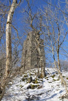 Themenfoto: Winter, Schnee, Winterimpression, Schneefoto, Eifel, Kaltenborn, Deutschland, 14.01.2025-stock-foto