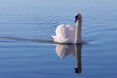 14.01.2025, Ausflug am Starnberger See-stock-photo