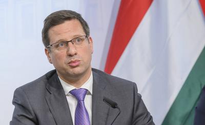 20250115 PK Hofer und Gulyas-stock-foto