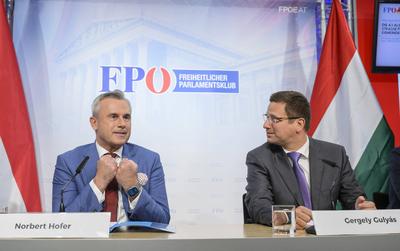 20250115 PK Hofer und Gulyas-stock-foto