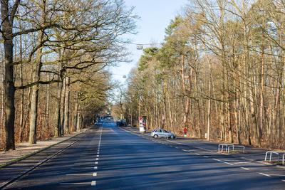 Tiergarten N?rnberg wegen Vogelgrippe-Ausbruch geschlossen, N?rnberg, 16.01.2025-stock-photo