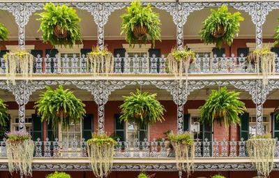 Traditional wrought iron balcony on brick New Orleans house Hanging baskets on tradional New Orleans building on Royal S-stock-foto