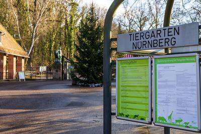 Tiergarten N?rnberg wegen Vogelgrippe-Ausbruch geschlossen, N?rnberg, 16.01.2025-stock-photo