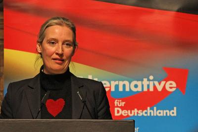 Alice Weidel im Hamburger Rathaus auf Einladung der Hamburger AfD B?rgerschaftsfraktion-stock-foto