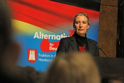 Alice Weidel im Hamburger Rathaus auf Einladung der Hamburger AfD B?rgerschaftsfraktion-stock-foto