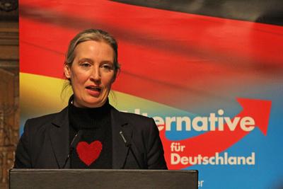 Alice Weidel im Hamburger Rathaus auf Einladung der Hamburger AfD B?rgerschaftsfraktion-stock-foto
