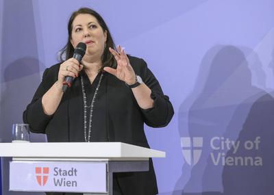 20250117 Mediengespraech zur Wiener Regierungsklausur 2025-stock-foto