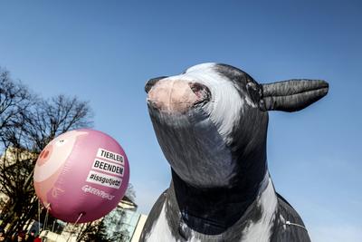 Demo " Wir haben es satt"-stock-foto