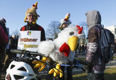 Demo " Wir haben es satt"-stock-foto