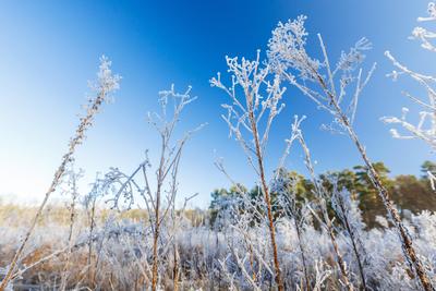Winterwetter in Brandenburg-stock-foto