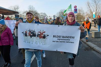 "Wir haben es satt!"-Demonstration für andere Agrarpolitik-stock-foto