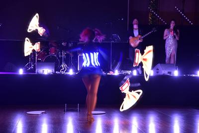 Prtesse Ball Berlin 2025-stock-photo