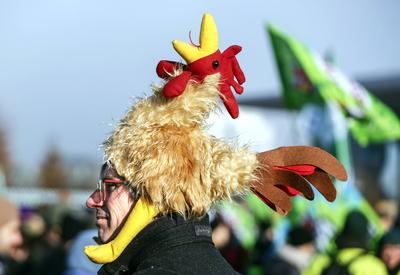 Demo " Wir haben es satt"-stock-foto