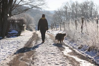 Winter im Siegerland-stock-foto