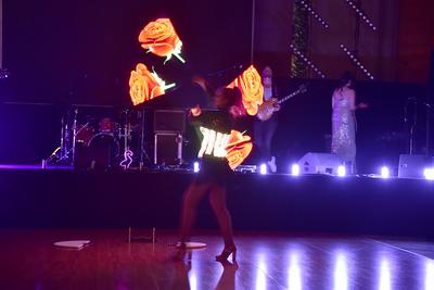 Prtesse Ball Berlin 2025-stock-photo