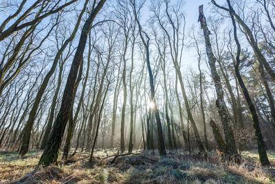 Winterwetter in Brandenburg-stock-foto