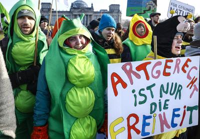 Demo " Wir haben es satt"-stock-foto