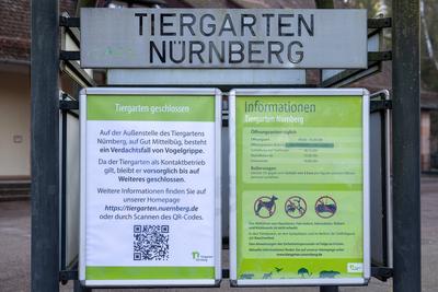 Vogelgrippe H5N1: Best?tigte F?lle bei Wei?st?rchen ? Tiergarten N?rnberg geschlossen, 18.01.2025-stock-photo