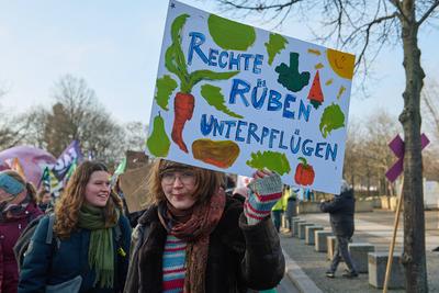"Wir haben es satt!"-Demonstration für andere Agrarpolitik-stock-foto