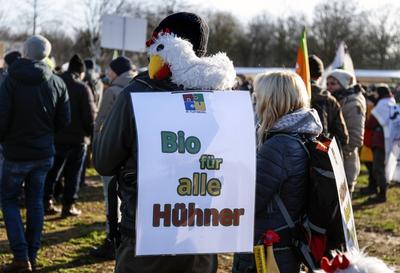 Demo " Wir haben es satt"-stock-foto