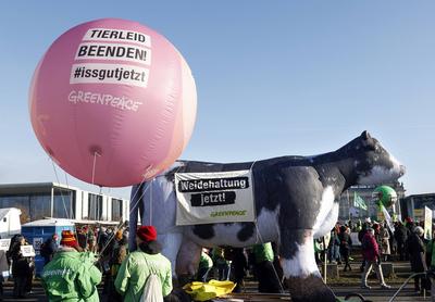Demo " Wir haben es satt"-stock-foto
