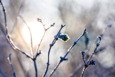 Winterwetter in Brandenburg-stock-foto