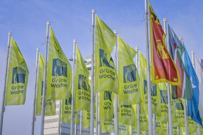 Fahnen vor dem Messegel?nde, Internationale Gr?ne Woche IGW 2025, Messe, Charlottenburg, Berlin, Deutschland-stock-foto