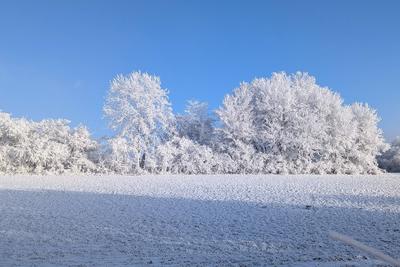 Raureif in Baden-W?rttemberg-stock-foto