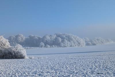 Raureif in Baden-W?rttemberg-stock-foto