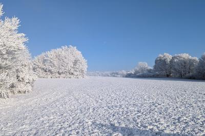 Raureif in Baden-W?rttemberg-stock-foto