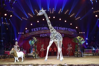 3eme Spectacle de sélection du 47eme Festival International du cirque de Monte Carlo-stock-photo