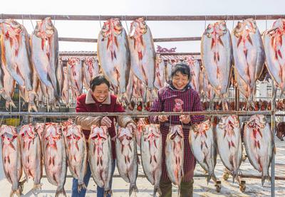 Aquatic Product Processing Base in Suqian-stock-foto