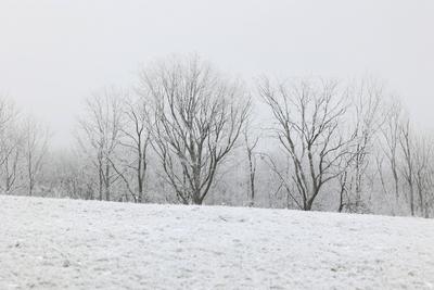 Winter im Siegerland-stock-foto