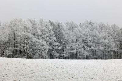 Winter im Siegerland-stock-foto