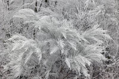 Winter im Siegerland-stock-foto