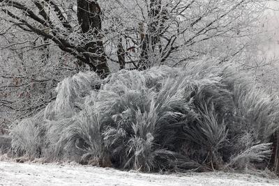 Winter im Siegerland-stock-foto
