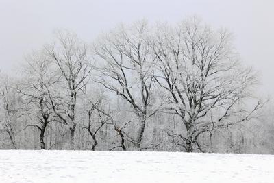 Winter im Siegerland-stock-foto