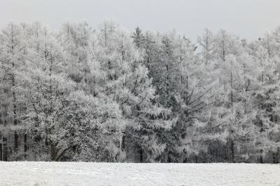 Winter im Siegerland-stock-foto