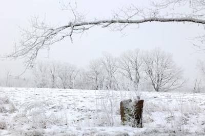 Winter im Siegerland-stock-foto