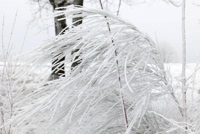 Winter im Siegerland-stock-foto
