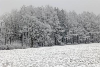 Winter im Siegerland-stock-foto