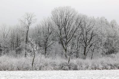 Winter im Siegerland-stock-foto